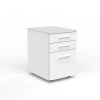 OL AltoSystem Mobile 2-Drawer & File Unit